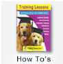 how-to videos